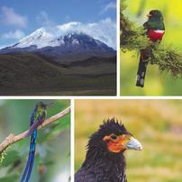 Ecuador Photo Journey
